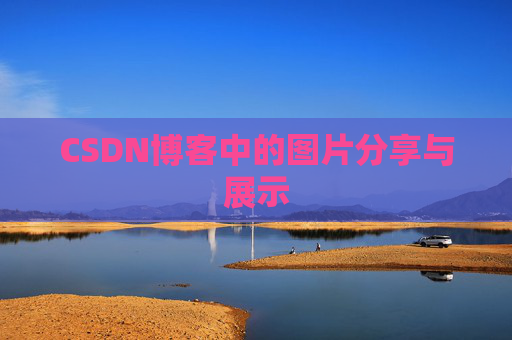 CSDN博客中的图片分享与展示